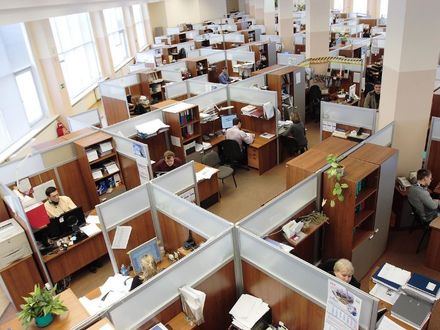 Welke productcategorieën domineren online veilingen?