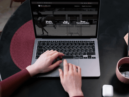 Paarden veilingsite starten