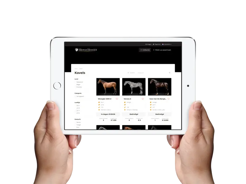 Créer un site de vente aux enchères