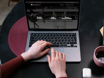 Paarden veilingsite starten